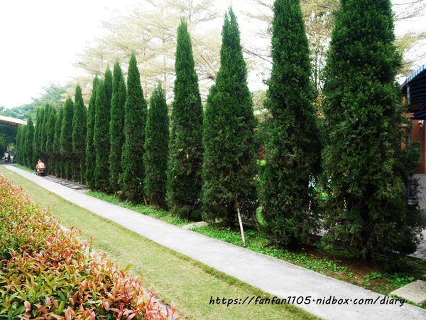 【彰化景點】魔菇部落生態休閒農場 大草皮小火車滑梯沙坑 #彰化親子景點 #六星級菇菇 (17).JPG