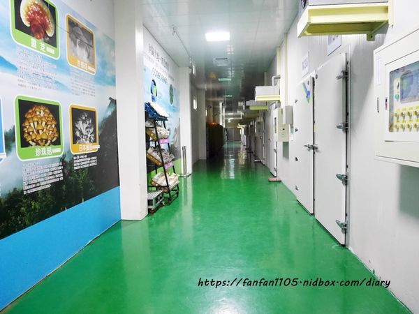 【彰化景點】魔菇部落生態休閒農場 大草皮小火車滑梯沙坑 #彰化親子景點 #六星級菇菇 (20).JPG