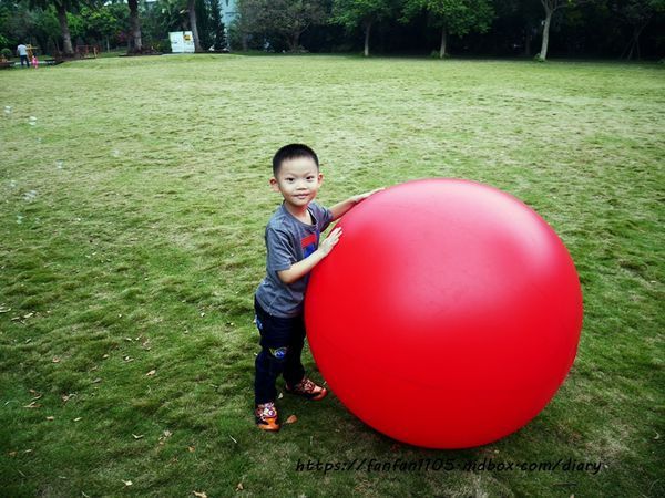 【彰化景點】魔菇部落生態休閒農場 大草皮小火車滑梯沙坑 #彰化親子景點 #六星級菇菇 (28).JPG