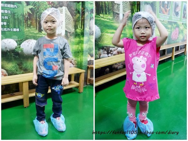 【彰化景點】魔菇部落生態休閒農場 大草皮小火車滑梯沙坑 #彰化親子景點 #六星級菇菇 (5).jpg