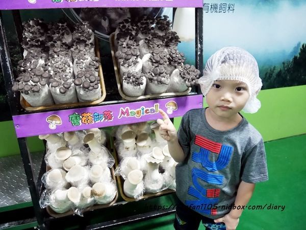 【彰化景點】魔菇部落生態休閒農場 大草皮小火車滑梯沙坑 #彰化親子景點 #六星級菇菇 (25).JPG