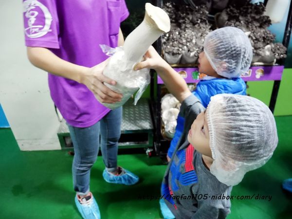 【彰化景點】魔菇部落生態休閒農場 大草皮小火車滑梯沙坑 #彰化親子景點 #六星級菇菇 (24).JPG