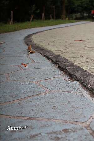 【親子旅遊】臺北中正。寶藏巖國際藝術村─洋溢著悠閒而懶洋洋的眷村風味