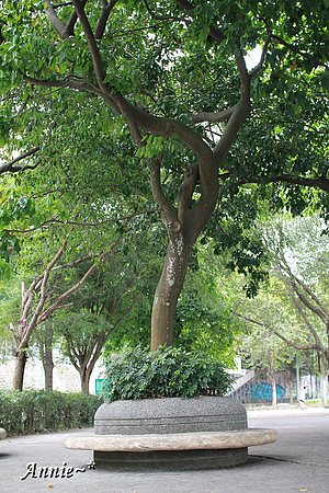 【親子旅遊】臺北中正。寶藏巖國際藝術村─洋溢著悠閒而懶洋洋的眷村風味