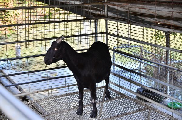 DSC_0476.jpg DSC_0476.jpg