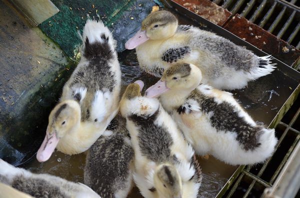 DSC_0428.jpg DSC_0428.jpg