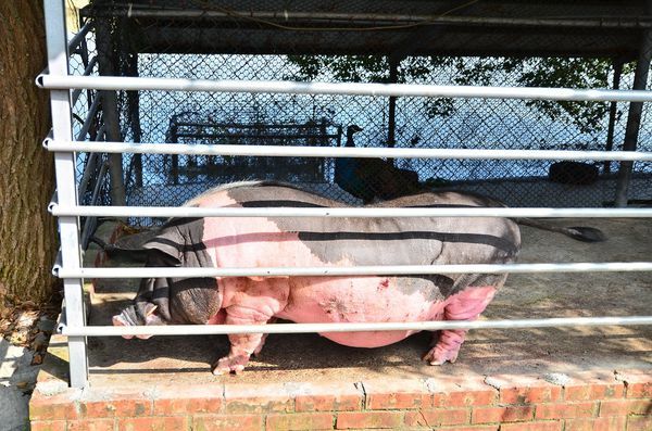 DSC_0478.jpg DSC_0478.jpg