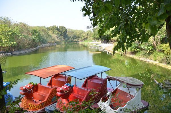 DSC_0432.jpg DSC_0432.jpg