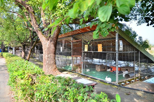 DSC_0464.jpg DSC_0464.jpg