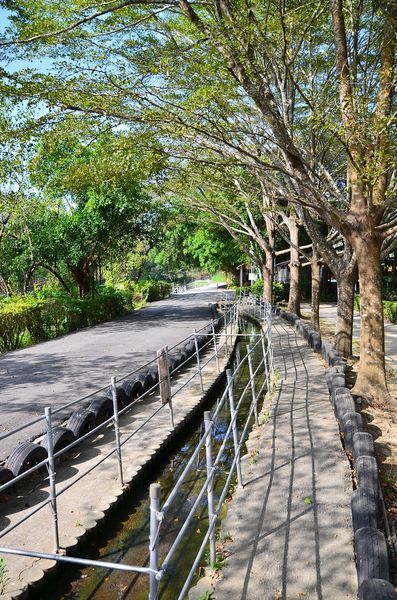 DSC_0455.jpg DSC_0455.jpg