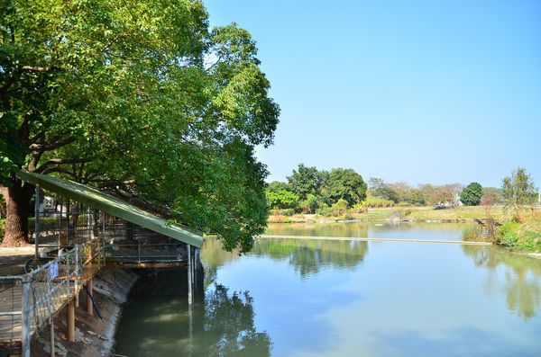 DSC_0480.jpg DSC_0480.jpg