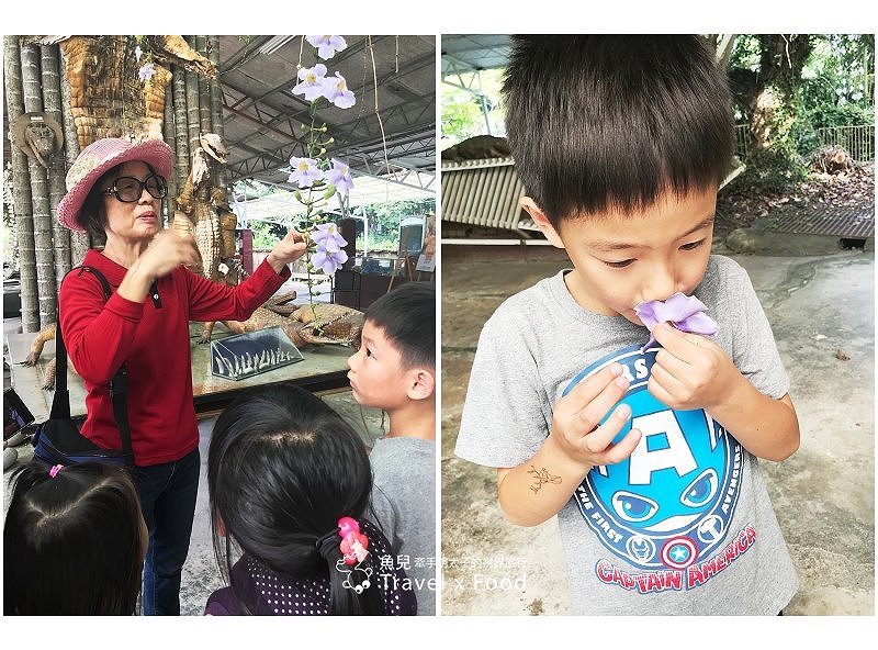 「不一樣鱷魚生態農場」真的很不一樣，刺激的餵食秀等你親自來體驗！ @魚兒 x 牽手明太子的「視」界旅行