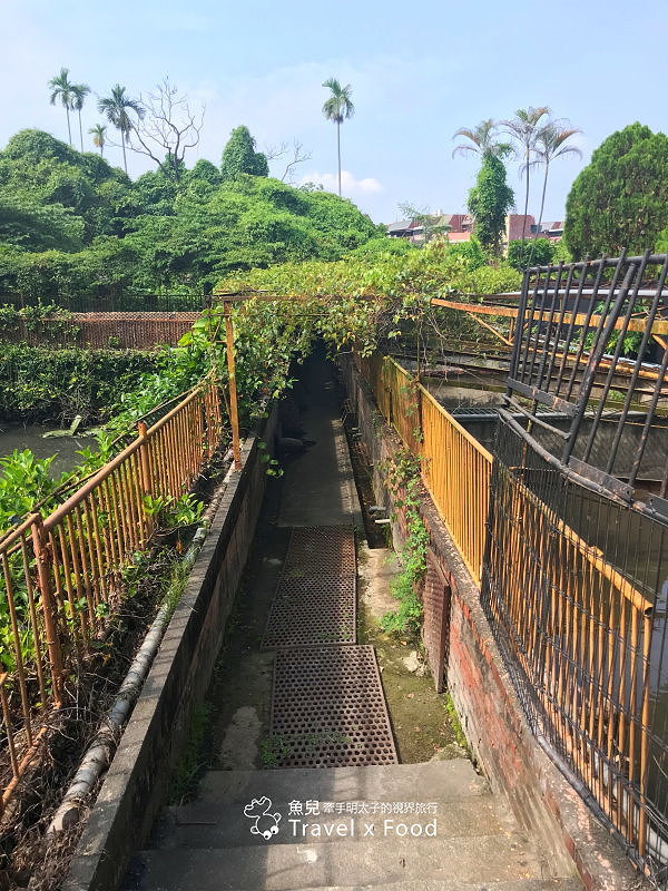 「不一樣鱷魚生態農場」真的很不一樣，刺激的餵食秀等你親自來體驗！ @魚兒 x 牽手明太子的「視」界旅行