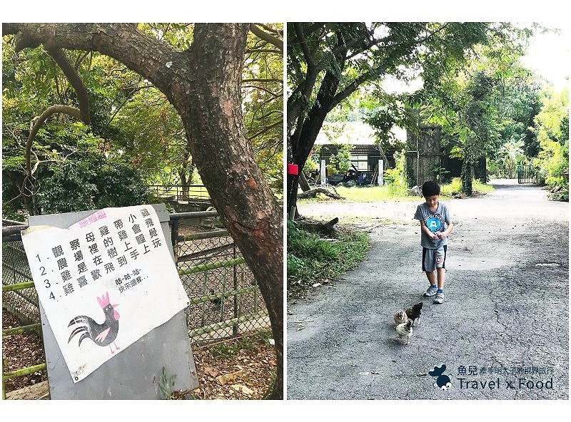 「不一樣鱷魚生態農場」真的很不一樣，刺激的餵食秀等你親自來體驗！ @魚兒 x 牽手明太子的「視」界旅行