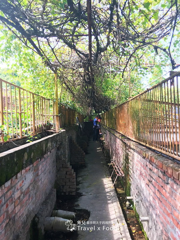 「不一樣鱷魚生態農場」真的很不一樣，刺激的餵食秀等你親自來體驗！ @魚兒 x 牽手明太子的「視」界旅行