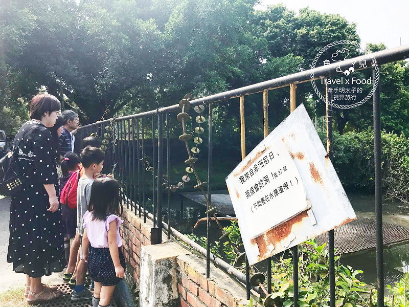 「不一樣鱷魚生態農場」真的很不一樣，刺激的餵食秀等你親自來體驗！ @魚兒 x 牽手明太子的「視」界旅行