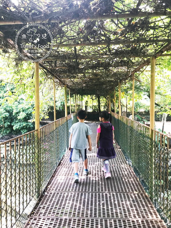 「不一樣鱷魚生態農場」真的很不一樣，刺激的餵食秀等你親自來體驗！ @魚兒 x 牽手明太子的「視」界旅行