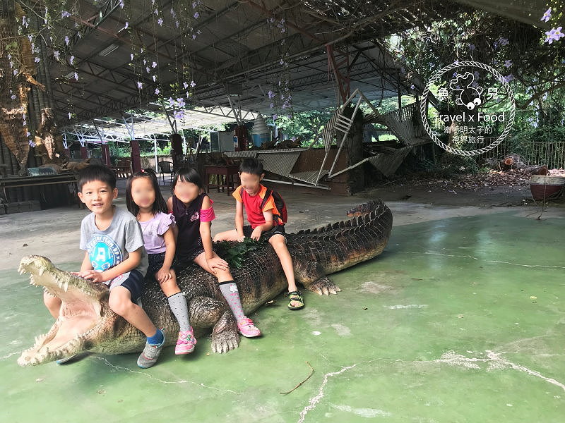 「不一樣鱷魚生態農場」真的很不一樣，刺激的餵食秀等你親自來體驗！ @魚兒 x 牽手明太子的「視」界旅行
