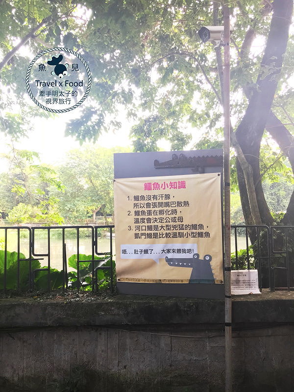 「不一樣鱷魚生態農場」真的很不一樣，刺激的餵食秀等你親自來體驗！ @魚兒 x 牽手明太子的「視」界旅行