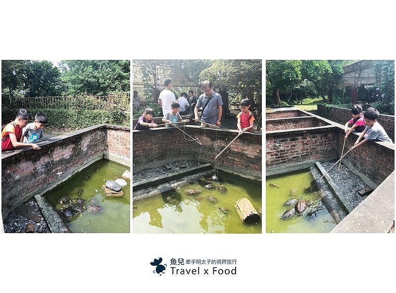 「不一樣鱷魚生態農場」真的很不一樣，刺激的餵食秀等你親自來體驗！ @魚兒 x 牽手明太子的「視」界旅行