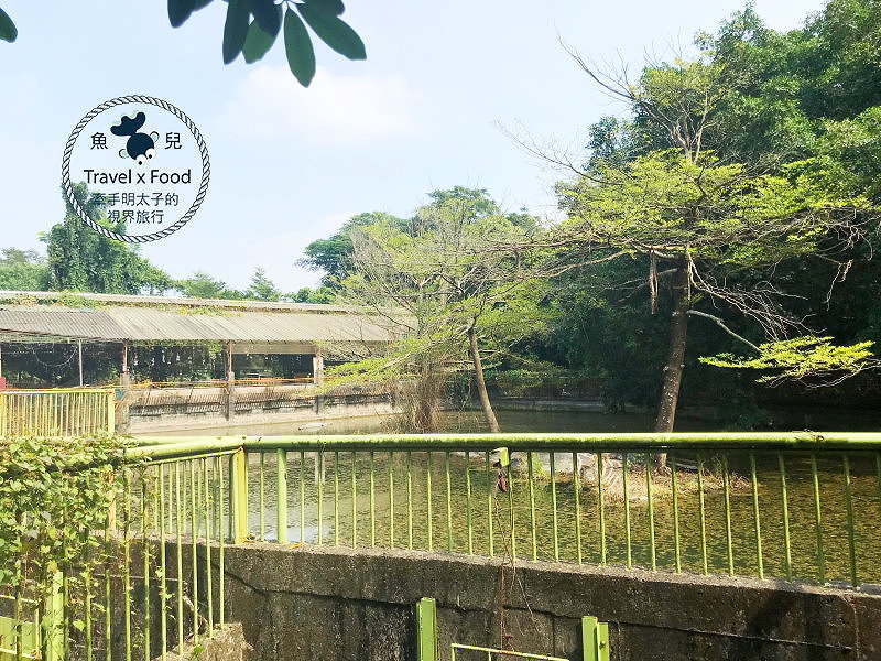「不一樣鱷魚生態農場」真的很不一樣，刺激的餵食秀等你親自來體驗！ @魚兒 x 牽手明太子的「視」界旅行
