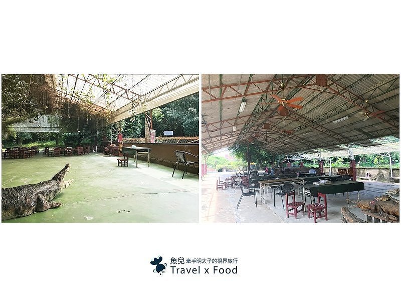 「不一樣鱷魚生態農場」真的很不一樣，刺激的餵食秀等你親自來體驗！ @魚兒 x 牽手明太子的「視」界旅行