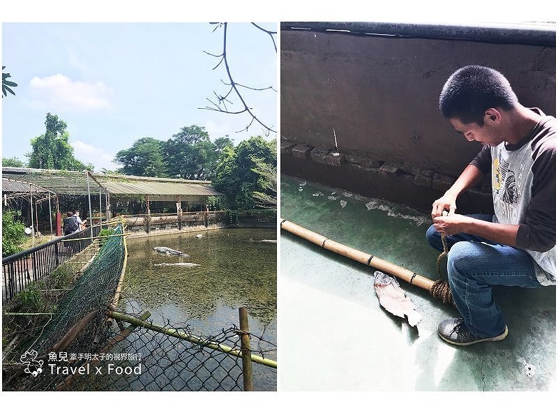 「不一樣鱷魚生態農場」真的很不一樣，刺激的餵食秀等你親自來體驗！ @魚兒 x 牽手明太子的「視」界旅行