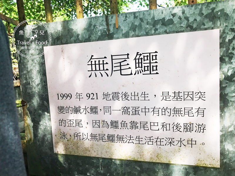 「不一樣鱷魚生態農場」真的很不一樣，刺激的餵食秀等你親自來體驗！ @魚兒 x 牽手明太子的「視」界旅行