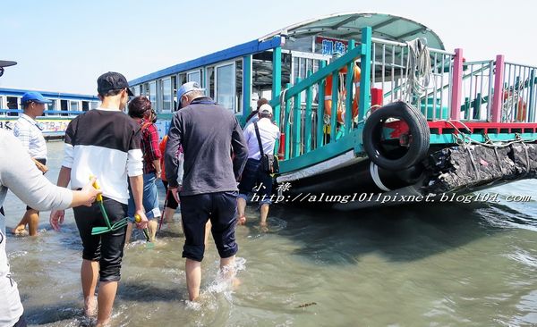 東石外傘頂洲：登飄移的沙洲‧探將消失的國土..      /東石外傘頂洲