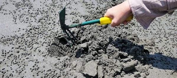 東石外傘頂洲：登飄移的沙洲‧探將消失的國土..      /東石外傘頂洲