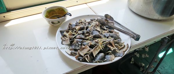 東石外傘頂洲：登飄移的沙洲‧探將消失的國土..      /東石外傘頂洲