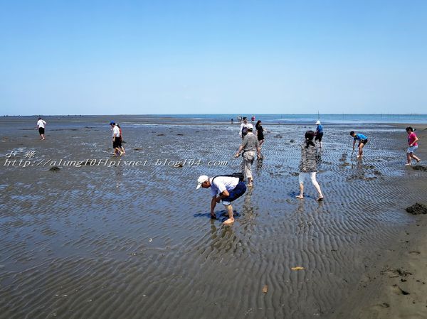 東石外傘頂洲：登飄移的沙洲‧探將消失的國土..      /東石外傘頂洲