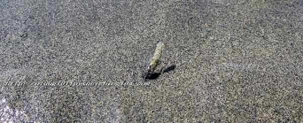 東石外傘頂洲：登飄移的沙洲‧探將消失的國土..      /東石外傘頂洲