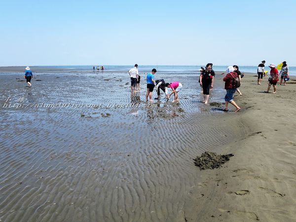 東石外傘頂洲：登飄移的沙洲‧探將消失的國土..      /東石外傘頂洲