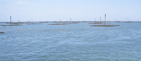 東石外傘頂洲：登飄移的沙洲‧探將消失的國土..      /東石外傘頂洲