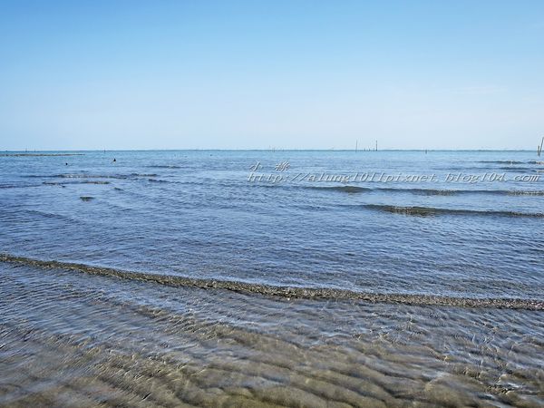 東石外傘頂洲：登飄移的沙洲‧探將消失的國土..      /東石外傘頂洲