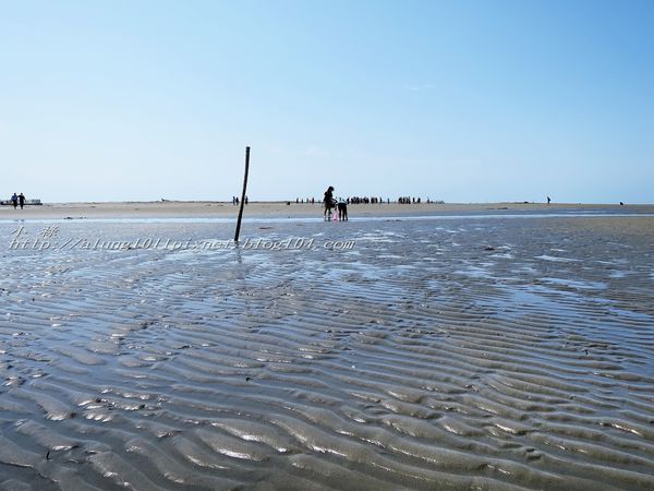 東石外傘頂洲：登飄移的沙洲‧探將消失的國土..      /東石外傘頂洲