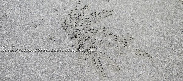 東石外傘頂洲：登飄移的沙洲‧探將消失的國土..      /東石外傘頂洲