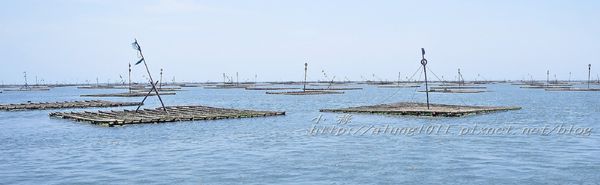 東石外傘頂洲：登飄移的沙洲‧探將消失的國土..      /東石外傘頂洲