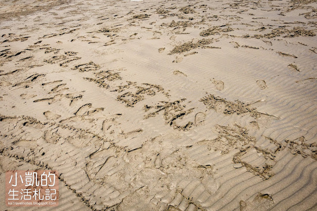 嘉義縣,外傘頂洲,東石鄉,移動的國土,小凱Vlog,小凱的生活札記