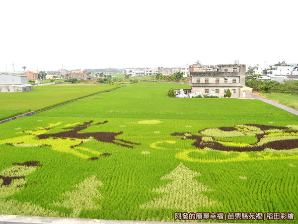 稻田彩繪07-聖誕老公公稻田彩繪.JPG