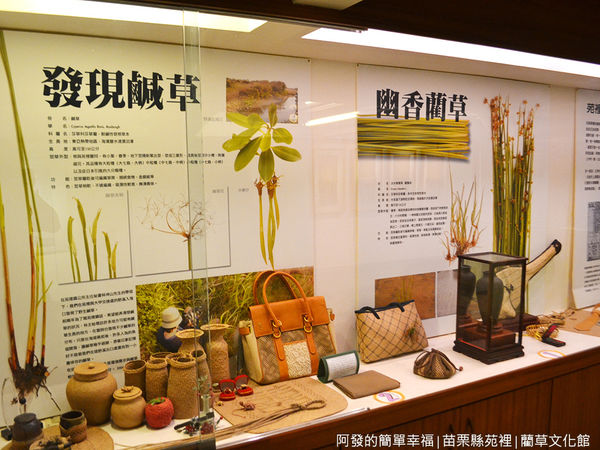 藺草文化館19-鹹草與藺草介紹.JPG