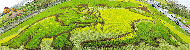 nEO_IMG_20161008_112351