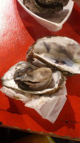 台南花園夜市：2012年12月台南自由行之花園夜市