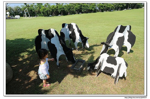 《幸福行》苗栗卓蘭‧自然風情 渡假民宿 風箏餐廳一泊二食(下)