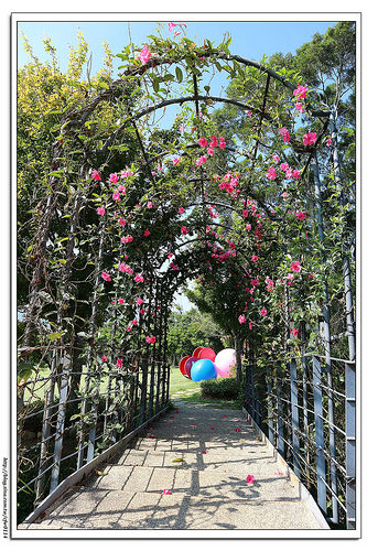 《幸福行》苗栗卓蘭‧自然風情 渡假民宿 風箏餐廳一泊二食(下)