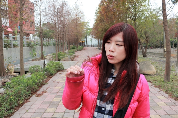 怡心園親水公園(Serenity Water Park):【彰化田尾景點】田尾公路花園~怡心園,季節限定落羽松步道,愛心藝術裝置美拍