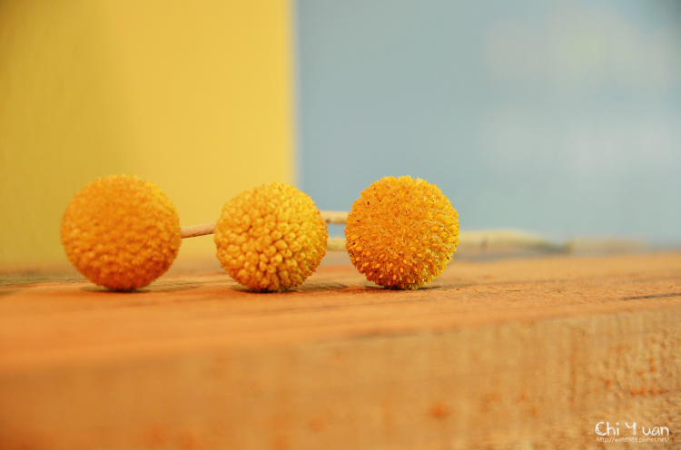 [台北]中山Booday，蘑菇廚房。一碗飯的美好