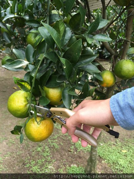 IMG_7427.JPG IMG_7427.JPG