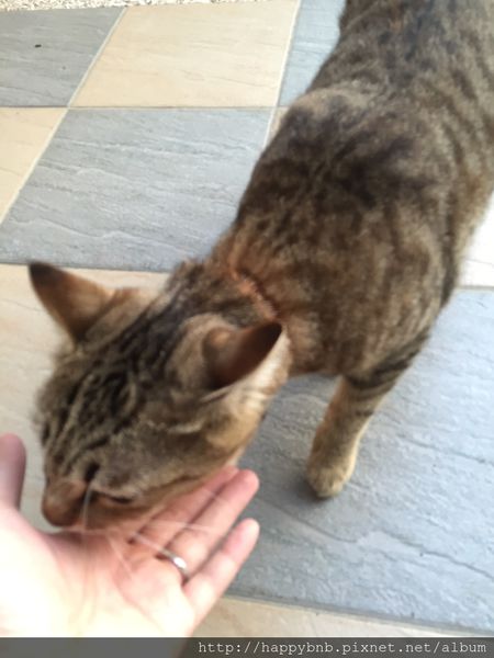 IMG_7412.JPG IMG_7412.JPG